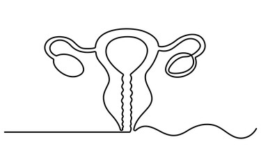 Human uterus organ in continuous one line drawing. Editable vector.One continuous line drawing of woman uterus. Ovary and womb reproductive system in simple linear style for logo and web banner gyneco