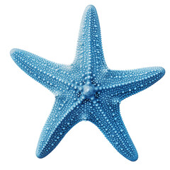 A blue starfish with many points