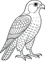 White dove of peace vector illustration flying with outstretched wings, a symbol of nature's wildlife