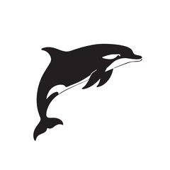 Fototapeta premium dolphin vector illustration