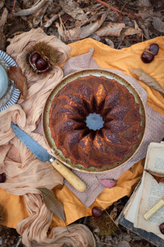 Rustic chestnut bundt cake on autumn picnic setup