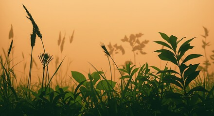 Silhouette Plant Silhouette Plant Silhouette Plant Silhouette Plant Silhouette Plant Silhouette Plant