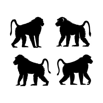 Silhouette depiction of four baboons in various poses against a white background showcasing primate forms