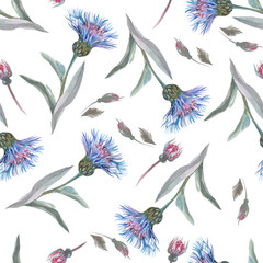 seamless pattern with blue cornflower flowers