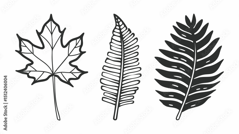 Poster illustration of three different types of leaves including maple and fern on a white background creat