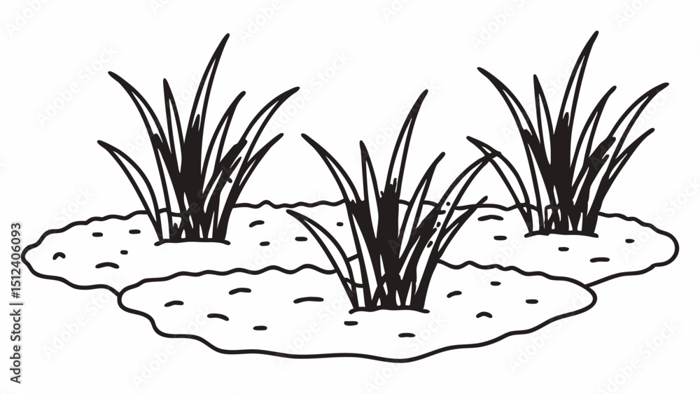 Poster illustration of three clumps of grass sprouting from the ground in a simple black and white style cr