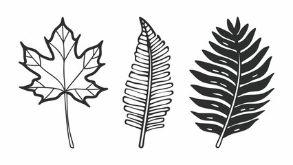 Illustration of three different types of leaves including maple and fern on a white background created with generated ai
