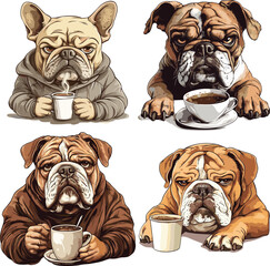 Obraz premium english bulldog puppy