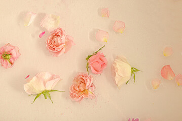 Flowers floating in the water with sequins. Summer aesthetic cosmetic backgorund with petals and sparkle.