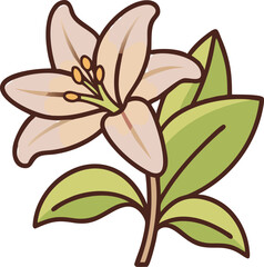 Lily vector outline icon on white or transparent background