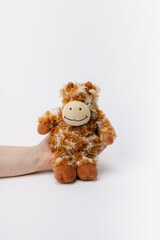 Monkey stuffed animal sitting on a white background