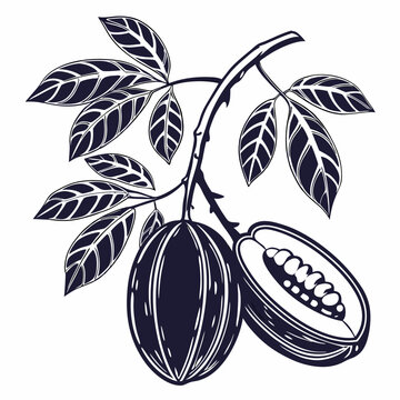 black akebi with leaves