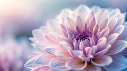 Captivating abstract macro shot of flower petals nature setting soft blurred depth effect close-up viewpoint artistic concept for creative photography