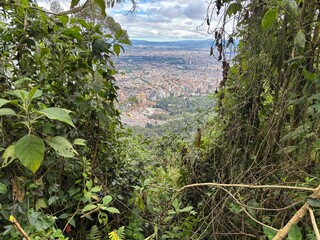 Vista de la ciudad entre ramas verdes
