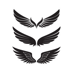  wings set vector illustration
