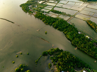 Small Estuary in Tropical Mangrove Forest