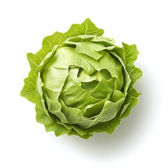 Obraz premium cabbage isolated on white background