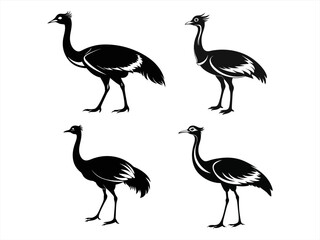 Obraz premium bustard sihouette black vector bundle