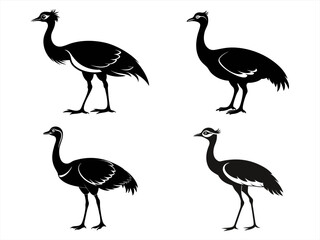 Fototapeta premium bustard sihouette black vector bundle