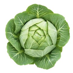 Obraz premium cabbage isolated on white background