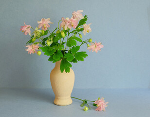 A small bouquet of aquilegia flowers in a vase