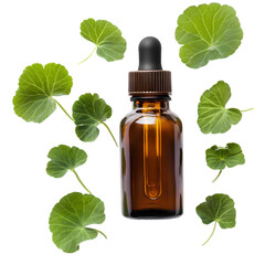 Gotu Kola Essential Oil: Benefits, Uses, and Herbal Remedy for Skin and Health on white background