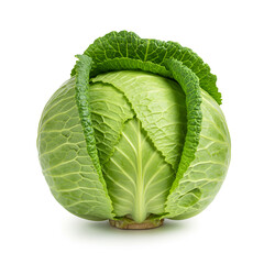 Fototapeta premium Close up shot of a single green savoy cabbage with textured leaves isolated on a white background plain