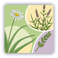 Blue glass vases with bouquet of flowering cherry branches on white table with navy blue wall background. Front view, copy space