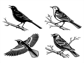 warbler sihouette black vector bundle