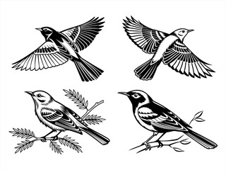 warbler sihouette black vector bundle