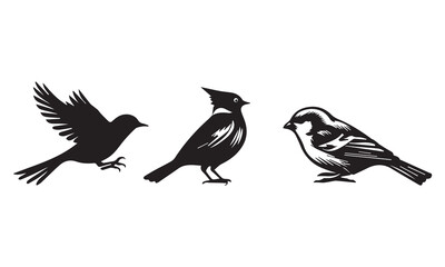 Bird set silhouette vector illustration.
