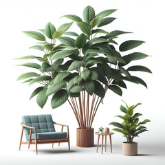 Fototapeta premium Tropical Potted Palm Plant in Minimalist White Pot