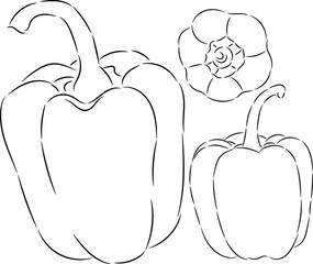 Capsicum Trio - Hand-Drawn Vegetable Outline.
A clean, minimalist line art illustration featuring three capsicums (bell peppers) arranged together.