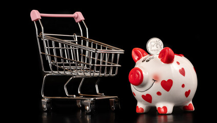 Conceptual story about savings in the Russian Federation with a piggy bank and a coin with the...