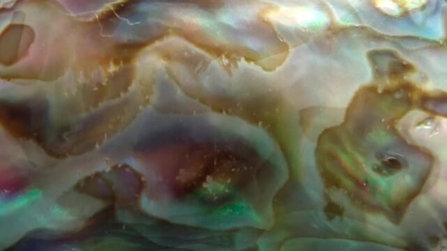 Looping Abstract Pearl Shell Background Animation