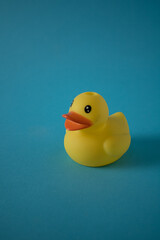 The yellow duck is resting.