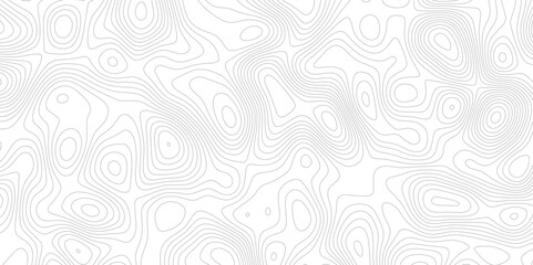Abstract topographic map background. Topographic map lines contour background. 
