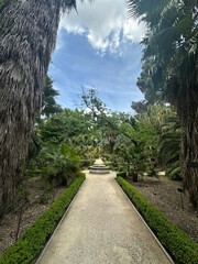 path in the park