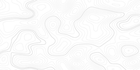 Abstract topographic map background. Topographic map lines contour background. 
