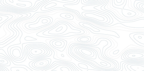 Abstract topographic map background. Topographic map lines contour background. 
