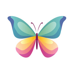 Colorful butterfly gradient wings nature insect