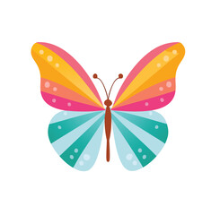 Colorful rainbow butterfly illustration design