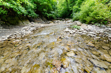 Calm stream winds through dense forest, surrounded by lush greenery. Clear waters flow over stones,...