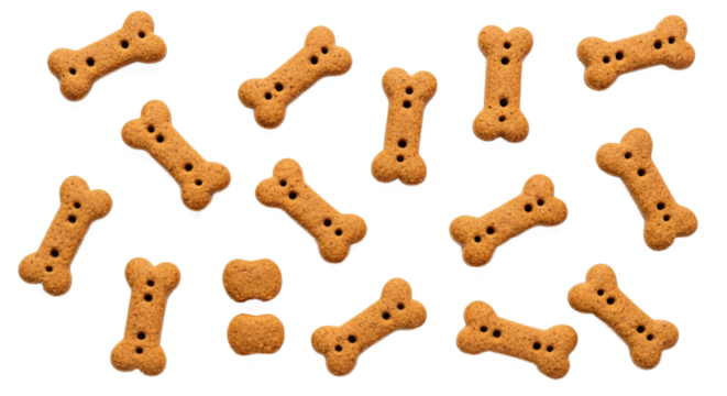  Pattern of baked dog biscuits and chew toys — pet treats isolated on transparent background