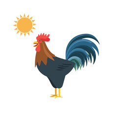 Rooster in the sunshine farm animal illustration