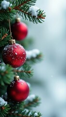 Rustic pine branches, glossy red baubles, snowy background, snow, seasonal
