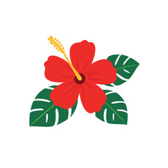Vibrant red hibiscus flower with lush green leaves