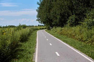 Peaceful bike path winds through dense, green forest under clear blue sky, inviting leisurely...