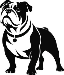 Obraz premium Bulldog Isolated Vector Illustration with a Pet Collar on a Transparent Background