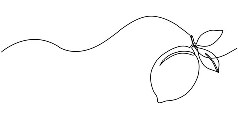 Lemon fruit continuous one line drawing minimalism design, Lemon yellow continuous one line drawing set isolated on a white background. Horizontal banner. Outline lemon citrus collections. Editable.